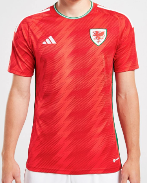 Camiseta Gales